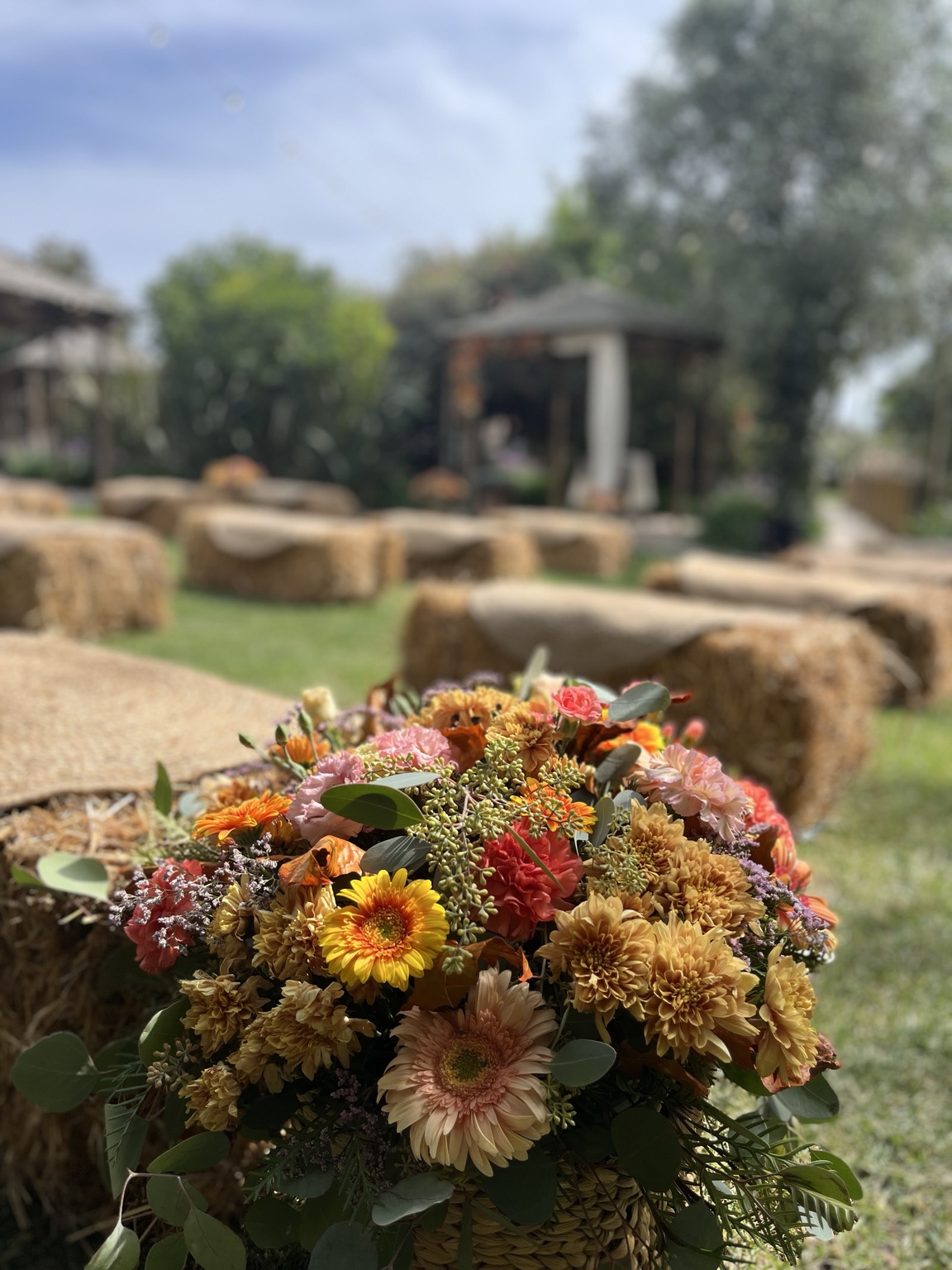 Colourful flowers in a rustic outdoor setting